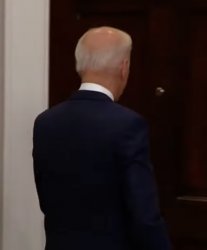 Back of Joe Biden's Head Meme Template