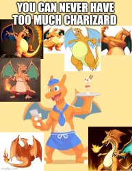 You can never have too much charizard Meme Template