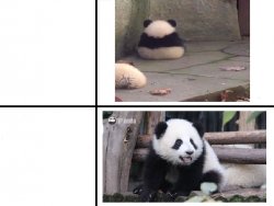 drake meme but panda Meme Template