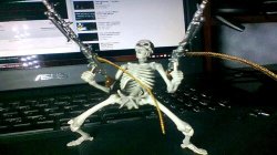 skeleton on laptop Meme Template