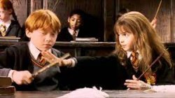 Hermione and Ron Meme Template