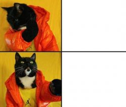 drake meme black cat Meme Template