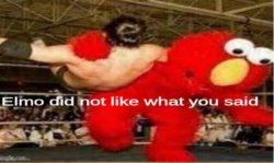 Elmo did not like what you said Meme Template