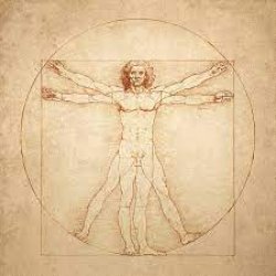 Leonardo Da Vinci Vitruvian Man Meme Template