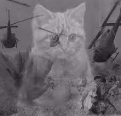 Cat war flashback Meme Template
