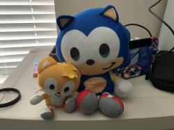 Baby Sonic And Baby Tails Meme Template