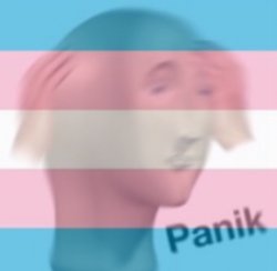 Transgender panic Meme Template