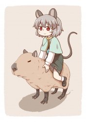 nazrin capybara Meme Template