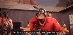 Words cannot express how much I hate France right now! Meme Template