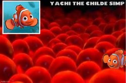 Yachi's baby nemo temp Meme Template