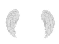 angel wings Meme Template