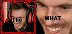The what w/ poods Meme Template