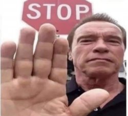 Stop scrolling Arnold Meme Template
