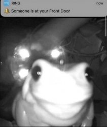 frog front door Meme Template