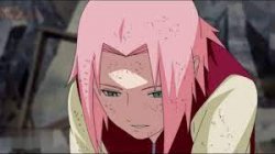Sakura Meme Template