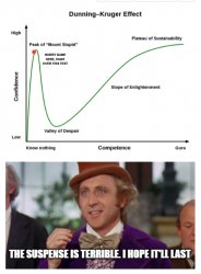 Wonka on Dunning Kruger Idiots Meme Template