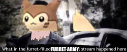 What in the Furret filled Furret army stream happened here? Meme Template