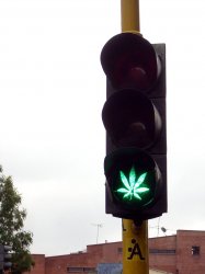 Cannabis Traffic Light Meme Template