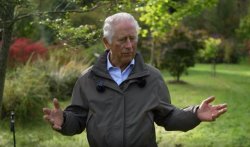 Prince Charles Meme Template
