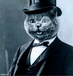 Top cat Meme Template