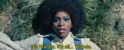 It's all Wanda Meme Template