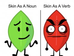 Skin As A Noun Meme Template