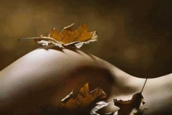 Daniel Meme Template