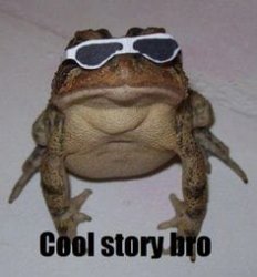 Cool story Meme Template