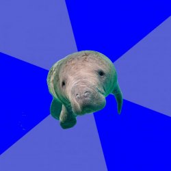 Insanity Manatee Meme Template