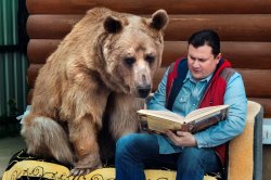 Man reading book to bear Meme Template