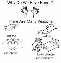 why do we have hands Meme Template