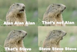 al steve Meme Template