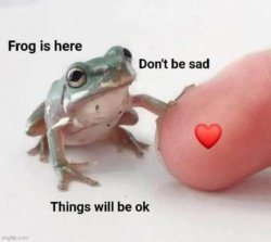 frog is here dont be sad Meme Template