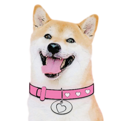 DogeGF Meme Template