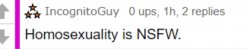 IncognitoGuy homosexuality is NSFW Meme Template