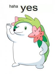 shamin haha yes Meme Template
