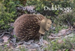 Meme man echidna Meme Template