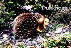 Meme man echidna deep-fried Meme Template