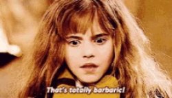 hERmione say thats totally barbaric Meme Template