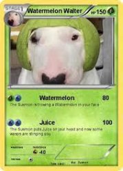 watermelon walter Meme Template