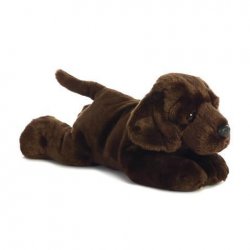 Chocolate Lab Plush Meme Template