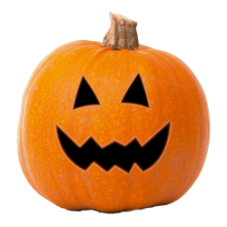 Halloween Pumpkin Meme Template