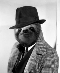 Sloth gentleman Meme Template