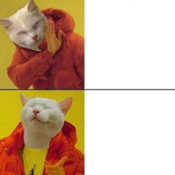 CHOOSY CAT aka CAT AS DRAKE Meme Template