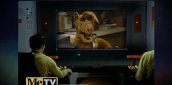 Alf Star Trek Meme Template