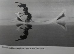 a fire ant paddles away from the scene of the crime. Meme Template