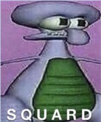 S Q A R D Meme Template