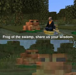 Frog of the swamp, share us your wisdom Meme Template