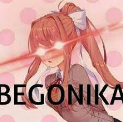 Begonika Meme Template