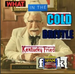 what in the cold, brittle, kentucky fried duck Meme Template